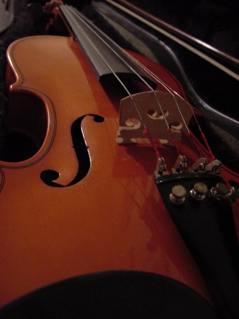 Close-up view of the body of a violin, showing the warm reddish-brown wood grain, f-hole, bridge, strings, and tuning pegs.