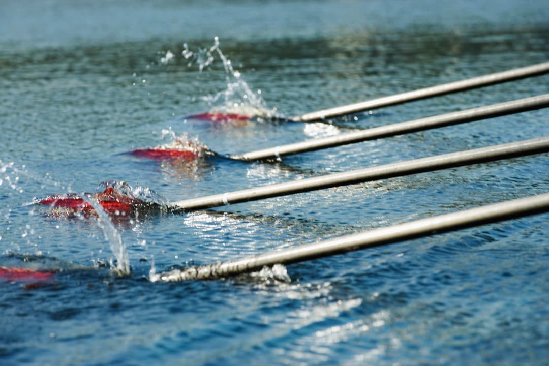 Close-up of four oars displacing water